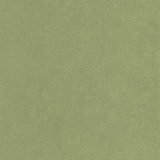 Casadeco 82387512 Gardens Florescence Kiosque Vert Cactus - tapeta w minimalistyczne chmury