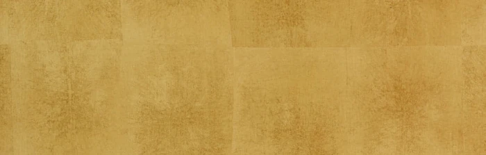 10924accc0c1d9e731f250d35d19f8d3