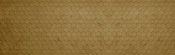 d28fcf13c2f1d16e2f56f723f8b46df0