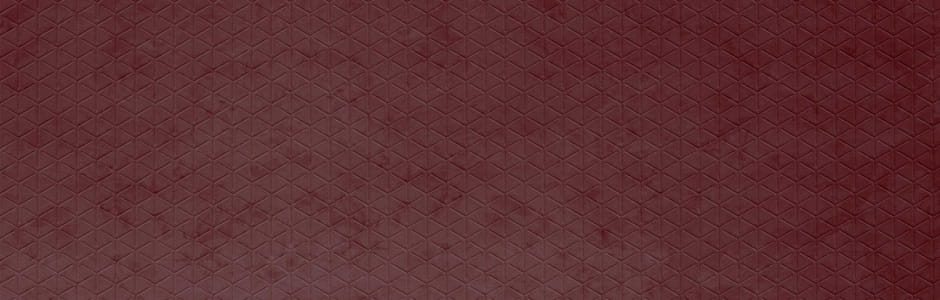 Mata dekoracyjna SIBU FL CUBE VELVET Bordeaux NA 22709