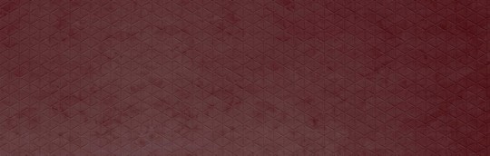 Mata dekoracyjna SIBU FL CUBE VELVET Bordeaux NA 22709