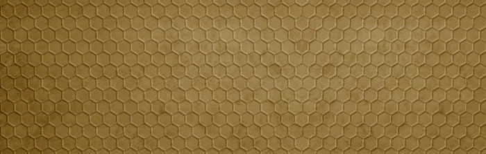 d66cbdaa92889254c2fa5e7fe186d83d