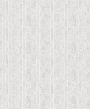 46d15530c1fec2ba61870ecbab107132