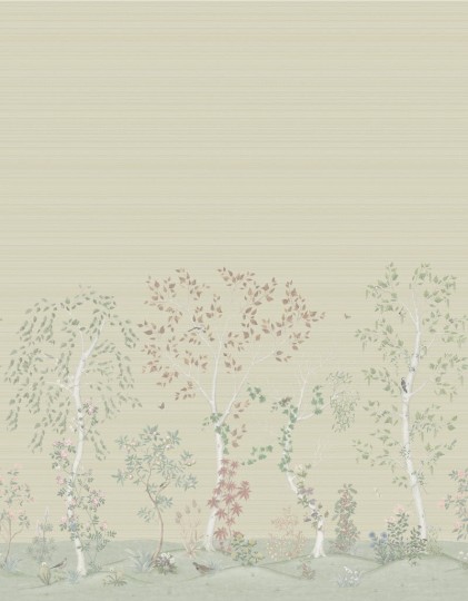 Cole&Son 120/6019G The Gardens Seasonal Woods Grasscloth - mural w brzozy (zestaw 2 rolek)