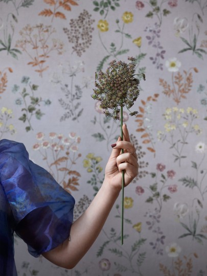 Boras Tapeter 9408W Studio Botanica - mural łąka kwiatów