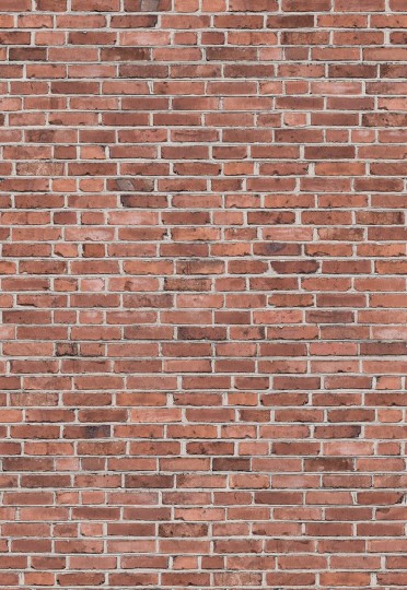 Boras Tapeter 9446W Studio Realistic Brick Wall - mural imitujący białą cegłę
