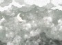 f8e0804ef48494e1c7145e913fbf4407