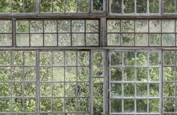 Greenhouse_Image_Tile_Item_9424w.jpg