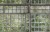Greenhouse_Image_Tile_Item_9424w.jpg