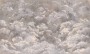70d35fa92310c56b99707260f8c3690f