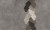 ef210399575dfa5b6e36cb061a81cf9c