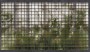 fa5a29cce20e3c158c19959d361dcc5f