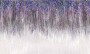 ff17433d78e0c7bf441daab30af64e70