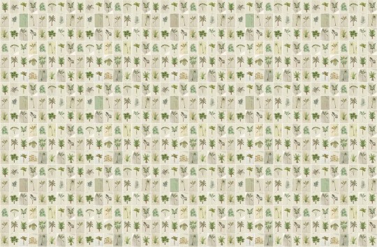 Wallpepper AO-21-A 2022 Postcards from the Tropics - mural z roślinnymi pocztówkami