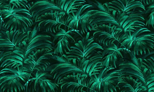 Wallpepper AO-08-A 2022 Palm Plethora - mural z palmą