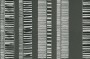 84ce2e6eb8cbd0651295d473b55c8eab