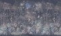 0c0efb18de22db4b03829937e34e2510