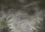 4aa68e2954079448900f8973c617bfc0