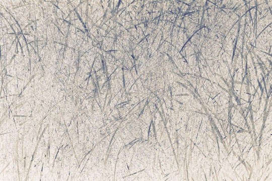 Wallpepper TV-04-A Capsule Tom Vack Blades - mural z motywem trawy