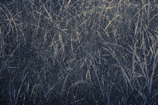 Wallpepper TV-04-B Capsule Tom Vack Blades - mural z motywem trawy