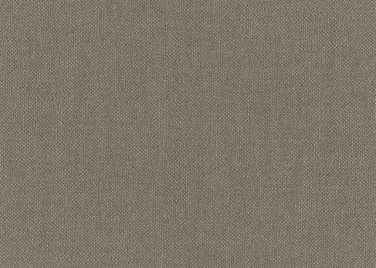 J&V 181 Lemuria Baobab 6553 - tapeta lniana