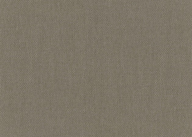 J&V 181 Lemuria Baobab 6553 - tapeta lniana