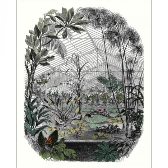 Casadeco 102397070 Beauty Full Image 2 Panoramique Jardin D'hiver - mural ogrodem zimowym