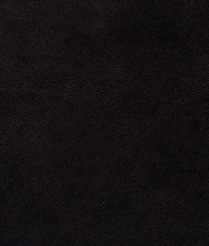 e5927c3f831632c59a01ba7ed9852f50