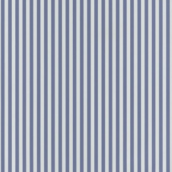 29886625.jpg