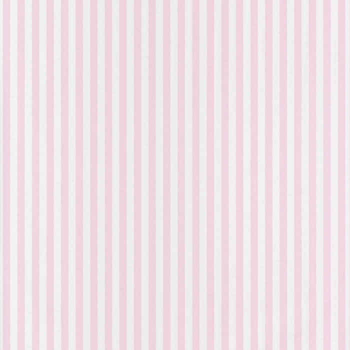 29884109.jpg
