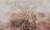 8535d027feaa86bff870e7fc7f866936