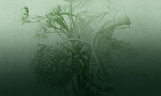 Wall Art Renew Green Ombre Flower - tapeta w kwiaty