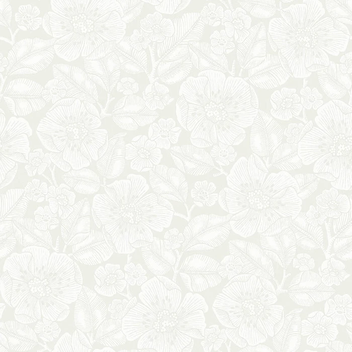 e18f58660a475e4f12b7c17527713295