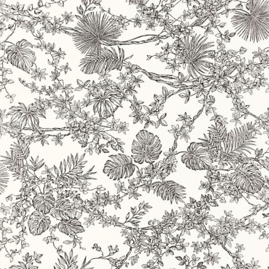 Casadeco 87959620 Les Belles Toiles De Jouy Jardin Des Plantes Noir Fusain - tapeta botaniczne ryciny