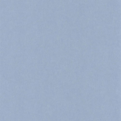 84076109.jpg
