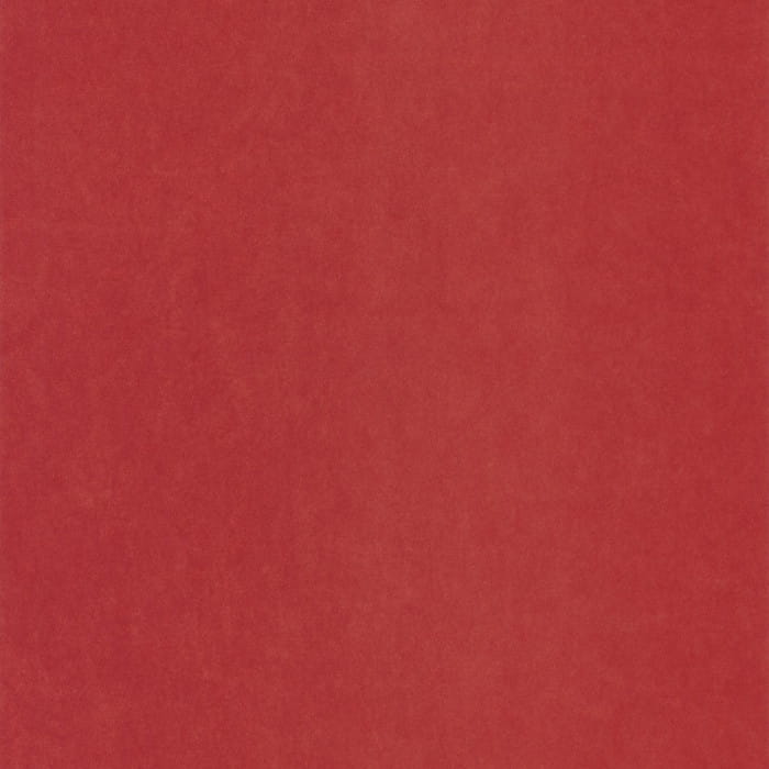 82388845.jpg