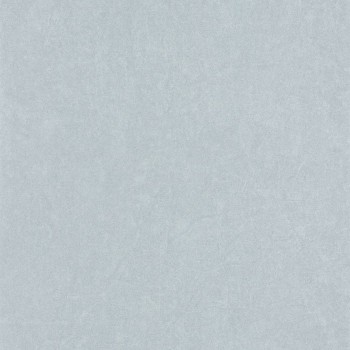 82389338.jpg