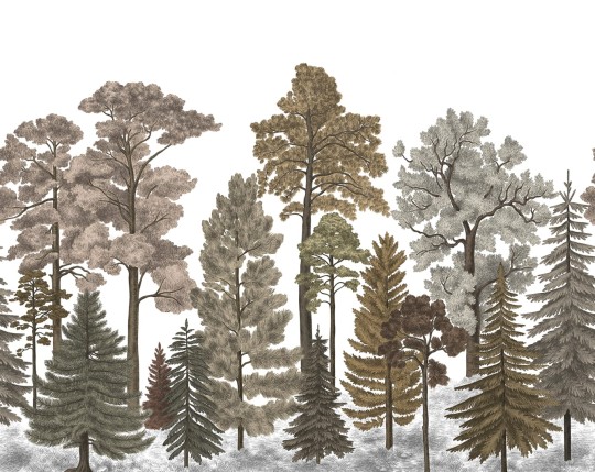 Rebel Walls R17205 Wonder World Scandinavian Bellewood Fall - mural z lasem