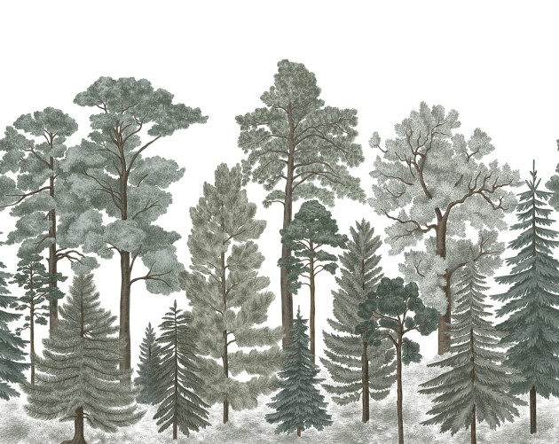 Rebel Walls R17202 Wonder World Scandinavian Bellewood Frost - mural z lasem