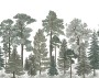 95b4f16ff00e1e08d45bfb9a924b5707