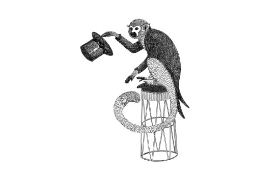 Rebel Walls R18205 Wonder World Circus Animal Mr Monkey - mural z małpką