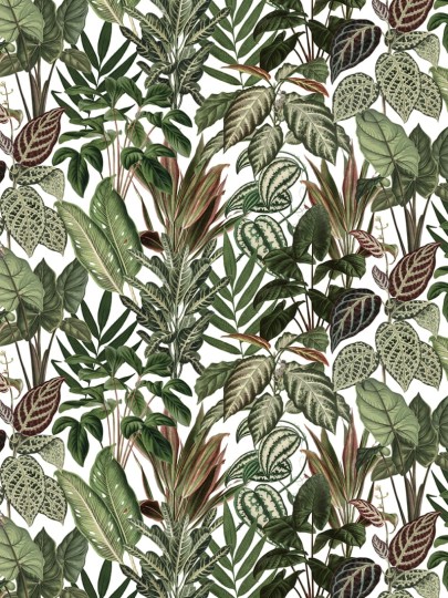 Rebel Walls R14591 Wonder World Mischievous Monkeys - mural z małpkami