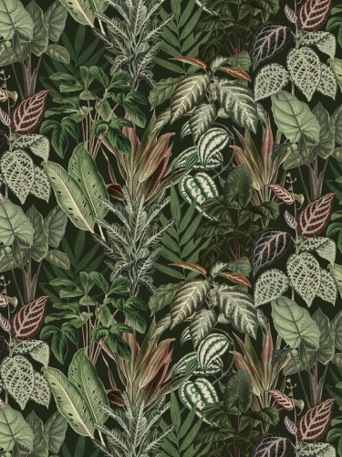 R14592_image1.jpg