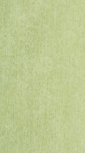 Giardini Biryami BIR009 - tapeta teksturowana