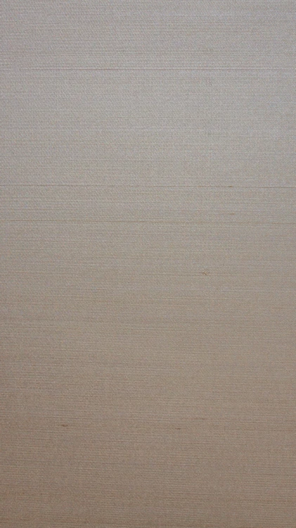 6e75fc48d1da4eb0013a831f864a0ac3