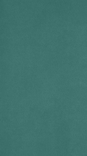 Giardini Skin Suede SKS008 - tapeta z zamszu