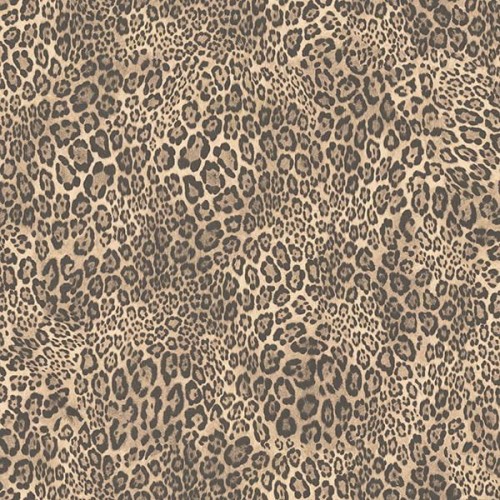fc6fbd33af7ee7d2e50f5e503c3e4937