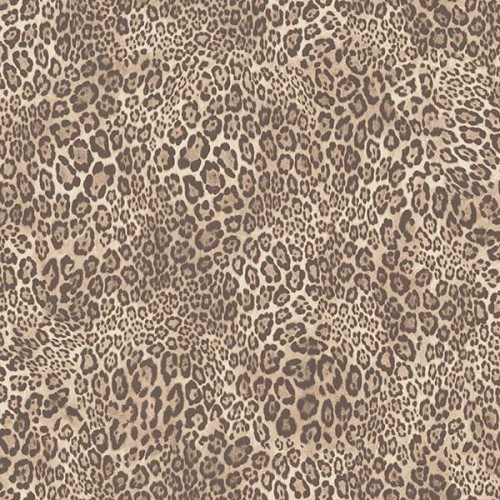 5c4d11aaa87cf44a6fe7de3d77880505