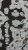 35fcde821a06ab56a8eac58e19b4050e