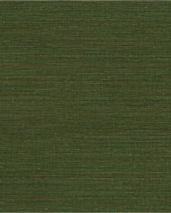 ae13c57038fdc4084a890f537ab5518e